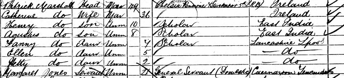 1881 census