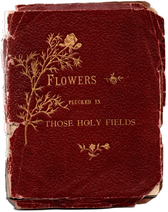 Flowers plucked in those holy fields