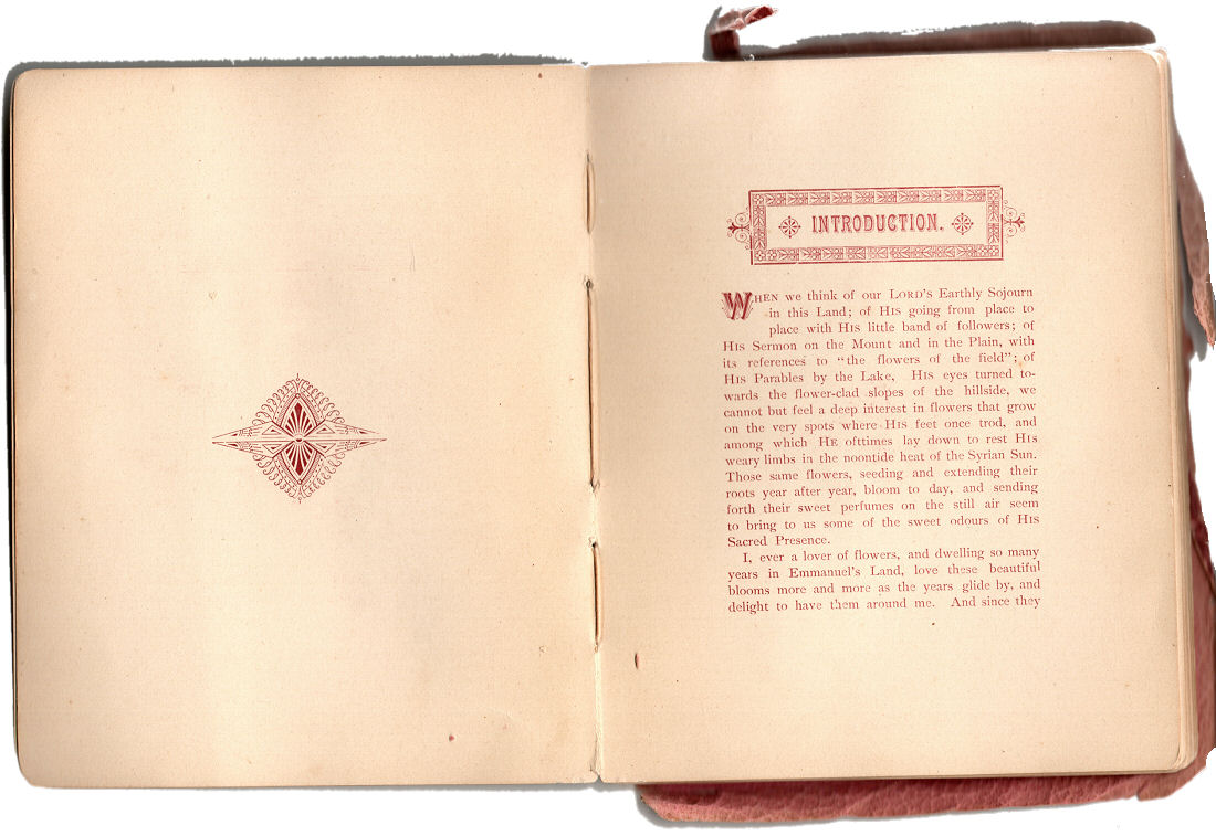 Flowers plucked in those holy fields