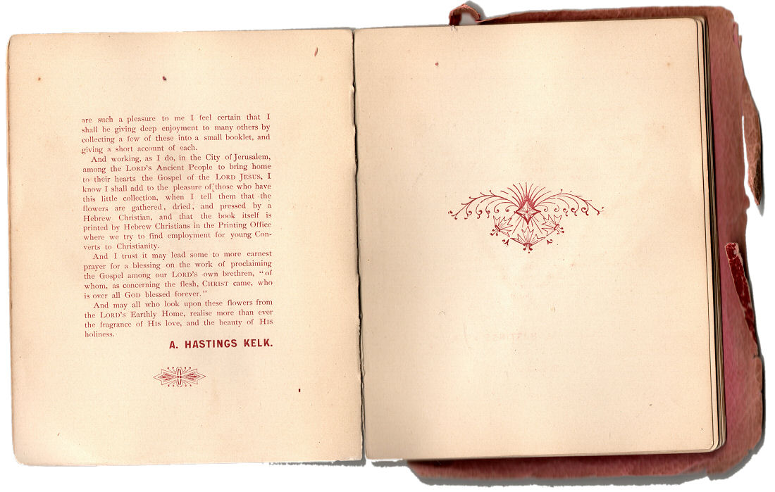 Flowers plucked in those holy fields