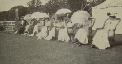 Watching bicycle polo?